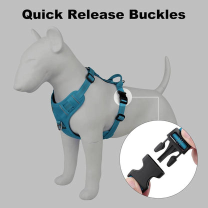 Hank Cyan Blue  Grey Quick-Fit Dog Harness.