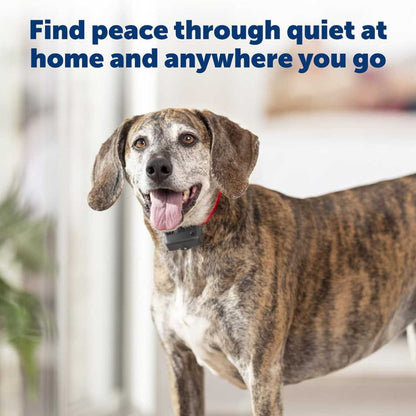 Automatic Bark Detection Collar | Safe Training for Dogs