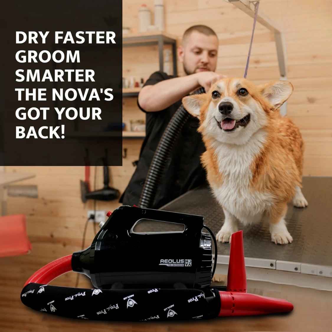 Nova Pet Dryer Brushless | Professional Grooming Blower Machine