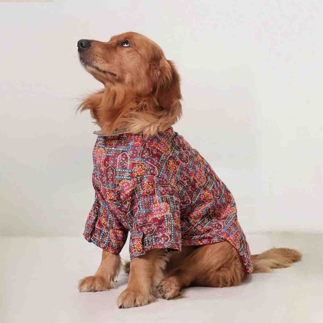 RangMahal Printed Ethnic Dog Kurta | Full Sleeve Wedding & Festive Wear