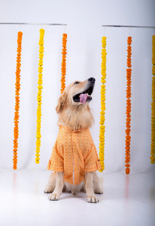 Orange Ethnic Dog Kurta Jacket