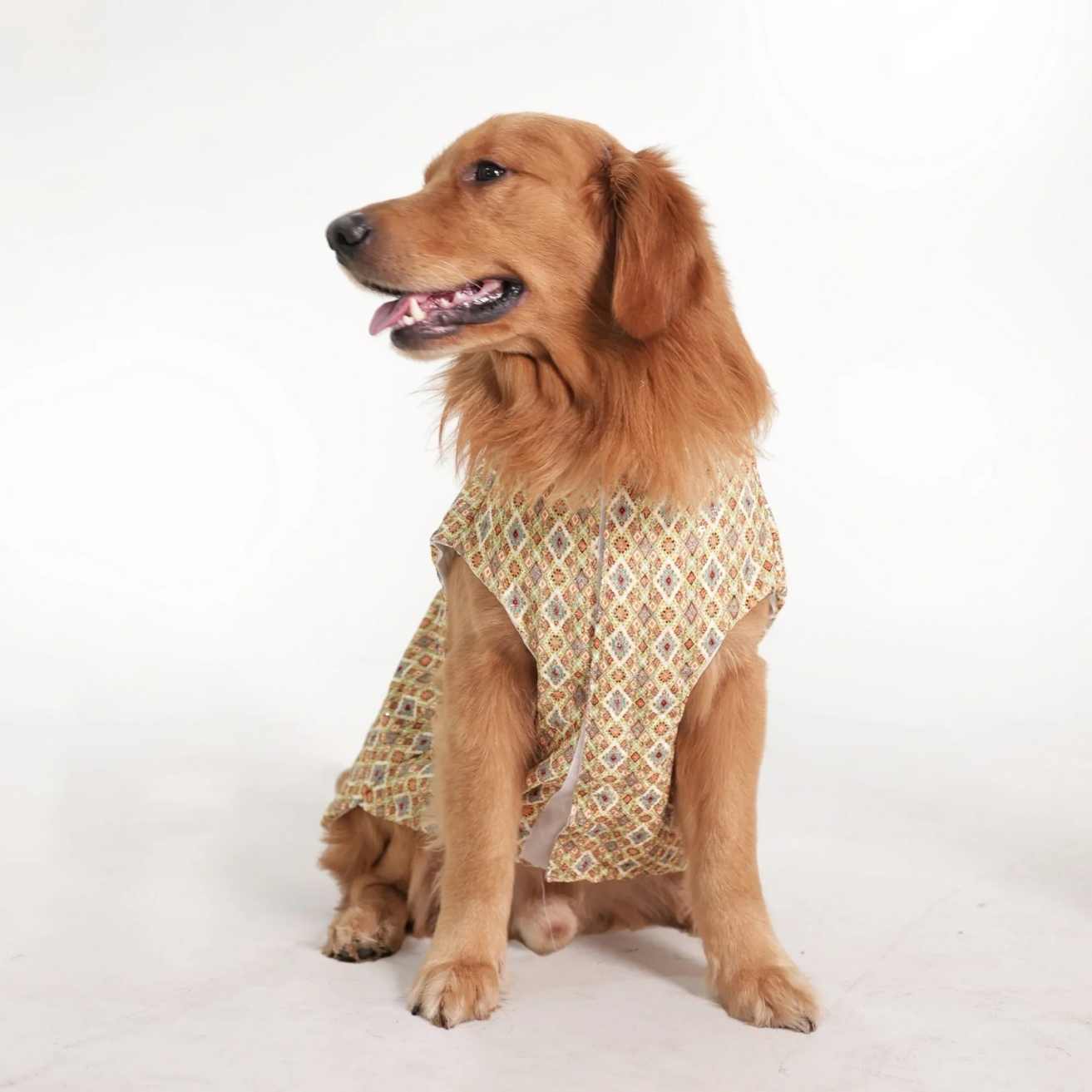 Heritage Print Ethnic Dog Kurta| Lightweight Festive & Party Wear