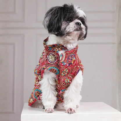 Royal Embroidered Dog Sherwani | Wedding Festive Wear  (Red Multicolor)
