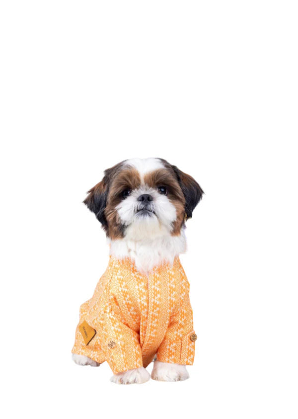 Orange Ethnic Dog Kurta Jacket