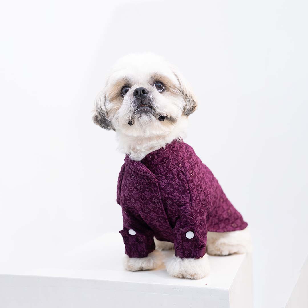 Maroon Majesty Chikankari Kurta for dogs
