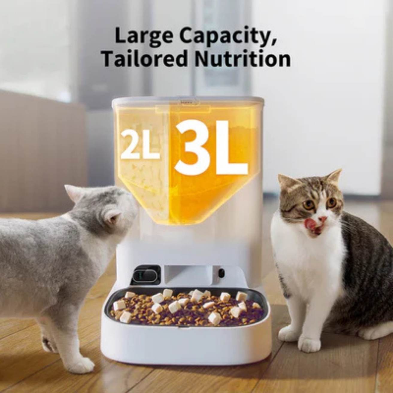 Automatic Pet Feeder with Camera | App Control & Auto Feeding