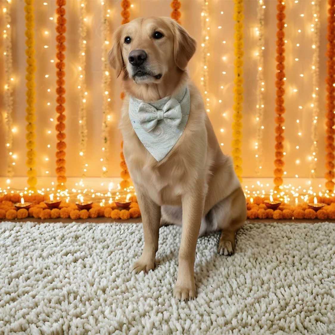 Luxury Mint Whirl Dog Bandana | Festive Pet Scarf