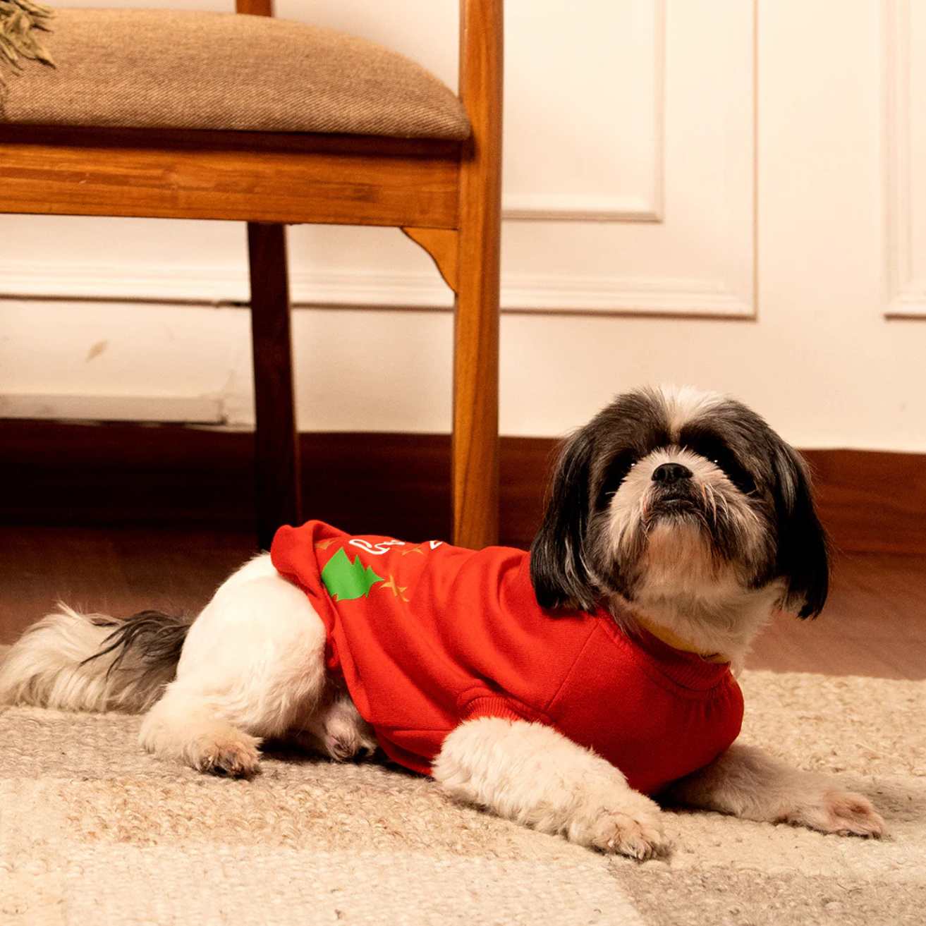 Jingle Joy T-shirt | Christmas Red Winter Pet T-shirt