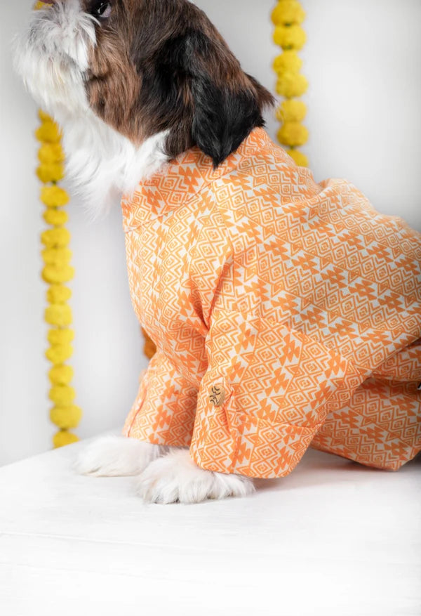 Orange Ethnic Dog Kurta Jacket