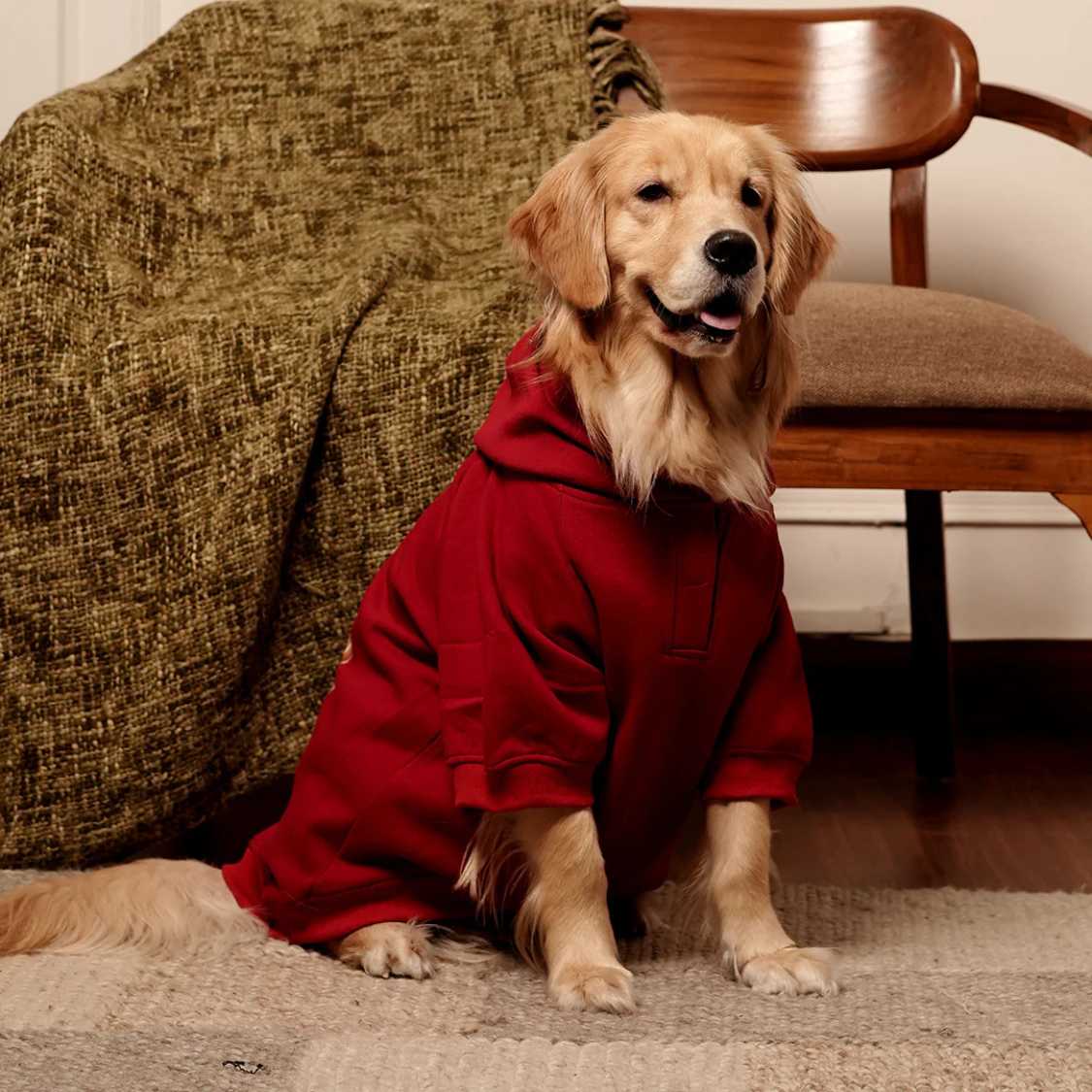 Rudolph Red Hoodie | Festive Red Winter Pet Hoodie
