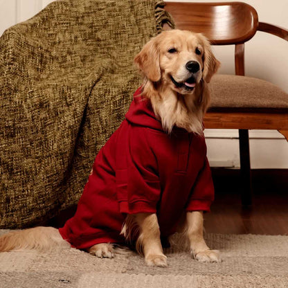 Rudolph Red Hoodie | Festive Red Winter Pet Hoodie