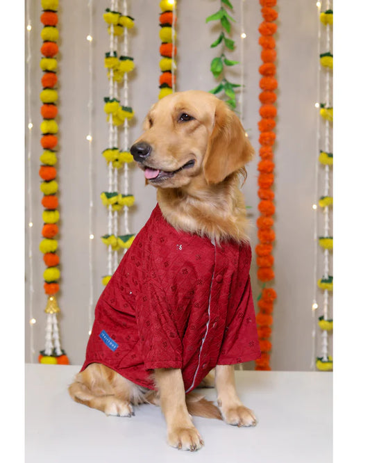 Red Dog Sherwani