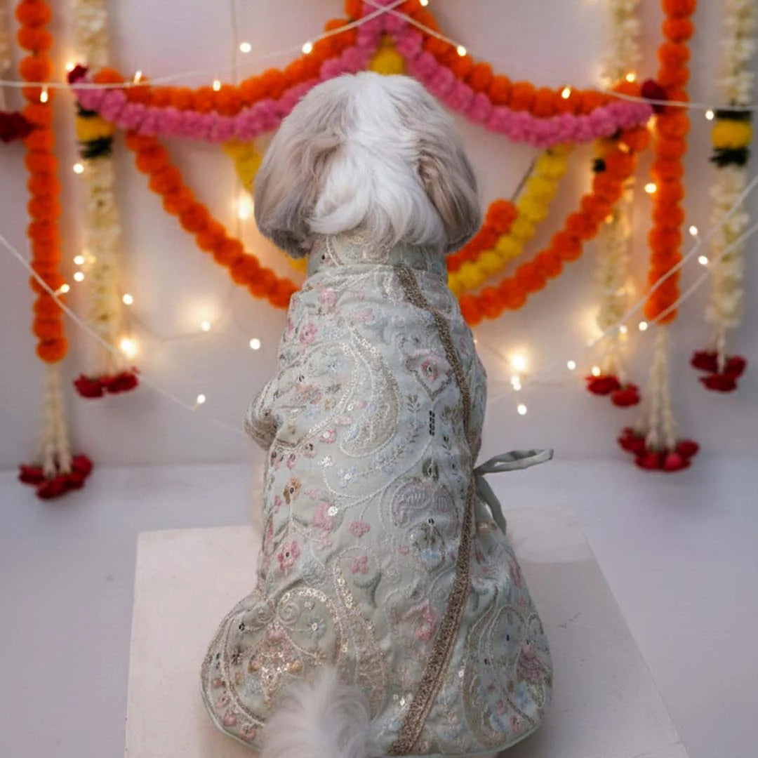 Mint Dream Designer Kurta for Dogs| Dog Ethnic & Festive Wear