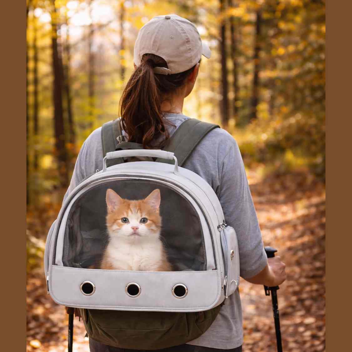 Foldable Pet Carrier | Breathable Travel Backpack