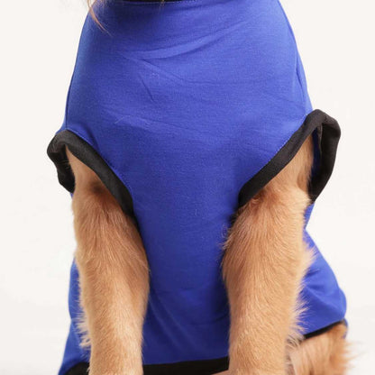 Cute Dog Graphic Printed T-Shirt | Casual Everyday Wear (Blue)