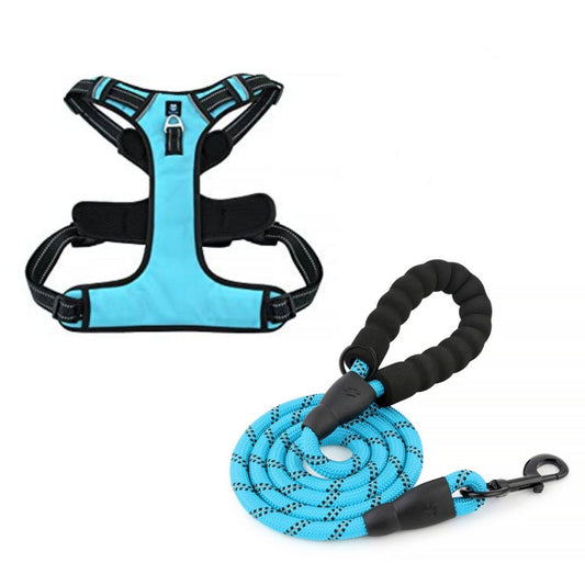 Blue Dog Harness