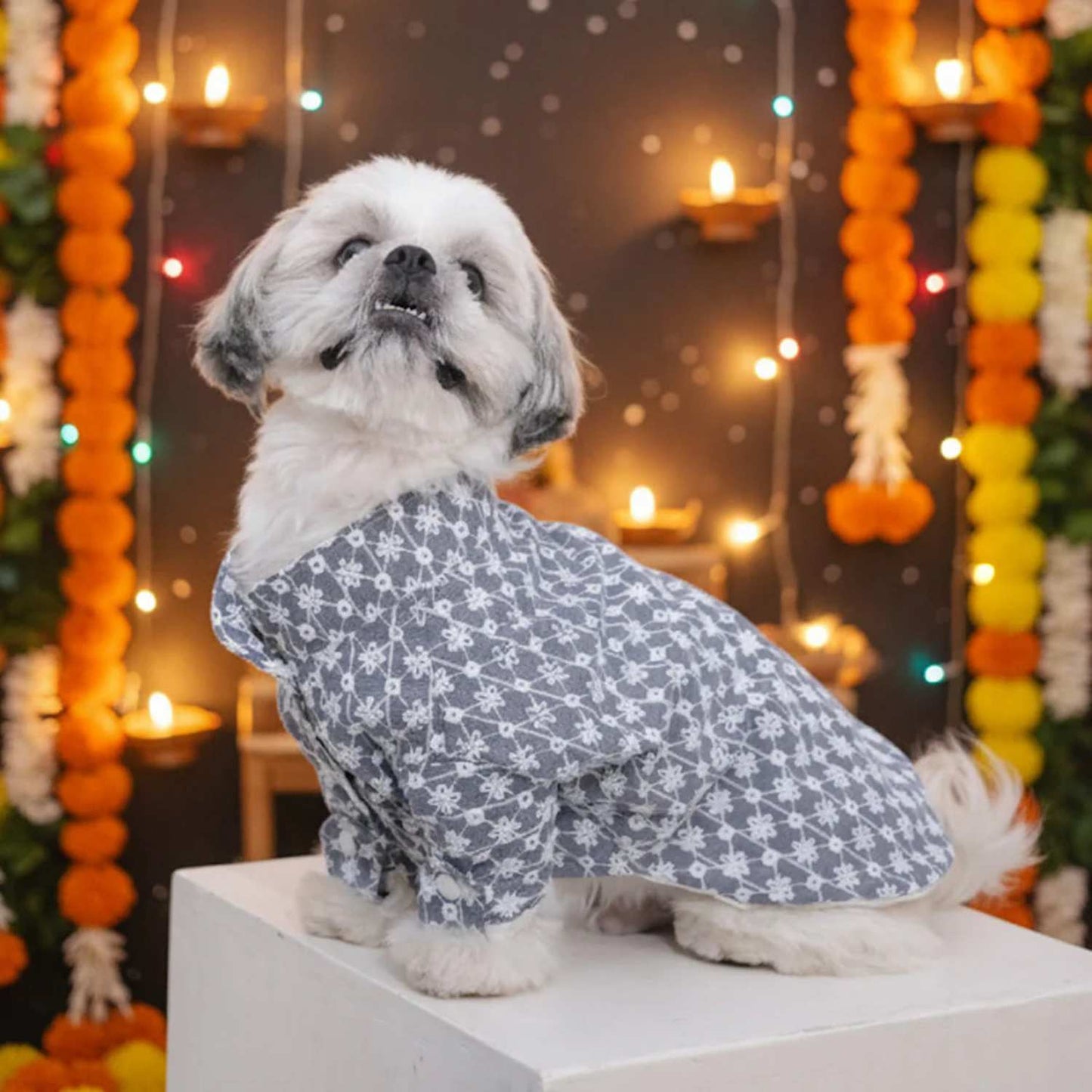 Grey Blossom Dog Kurta (Sleeve) – Designer Ethnic Wear for Dogs