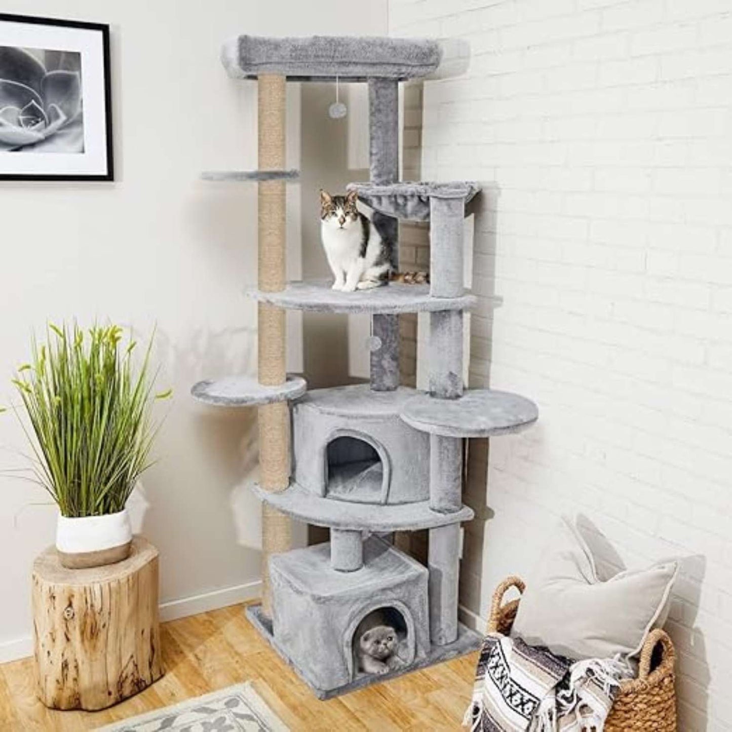Multi-Level Cat Tree for Indoor Cats | Large Cat Tower with Condo, Top Bed & Scratching Posts (80 INCH)