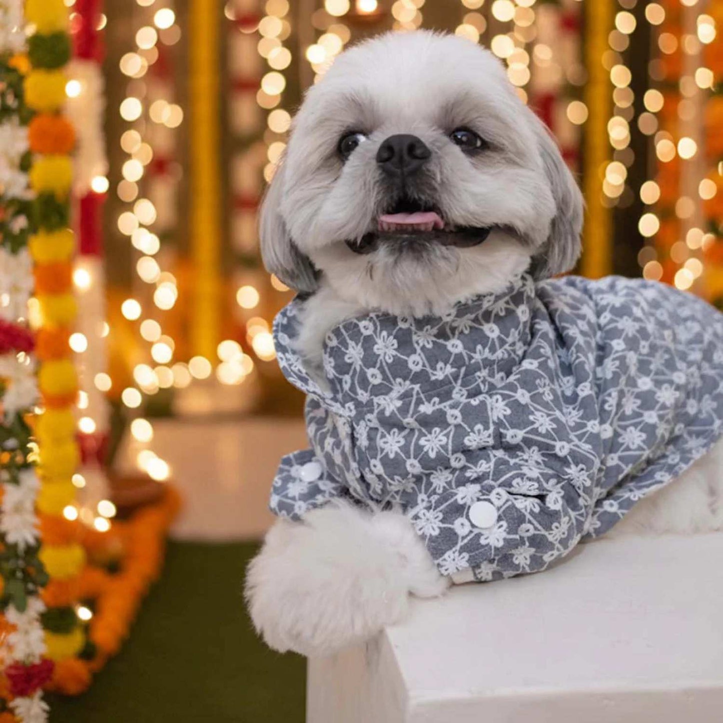 Grey Blossom Dog Kurta (Sleeve) – Designer Ethnic Wear for Dogs