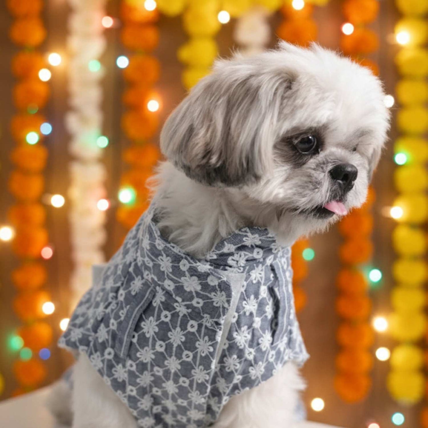 Grey Blossom Sleeveless Kurta for Dogs – Ethnic Pet Outfit