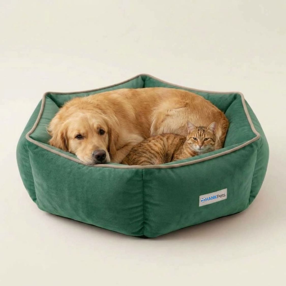 HANK HugFit Premium Dog Bed | Anti Skid & Machine Washable(Green)
