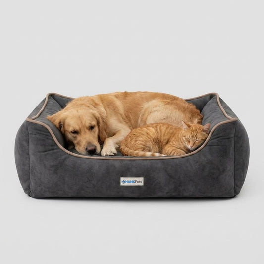 HANK SoftNest Premium Dog Bed Anti Skid & Machine Washable (Black)