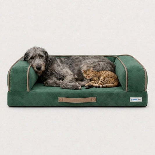 HANK CozyHaven Premium Orthopedic Sofa Dog Bed | Anti Skid & Machine Washable(Green)