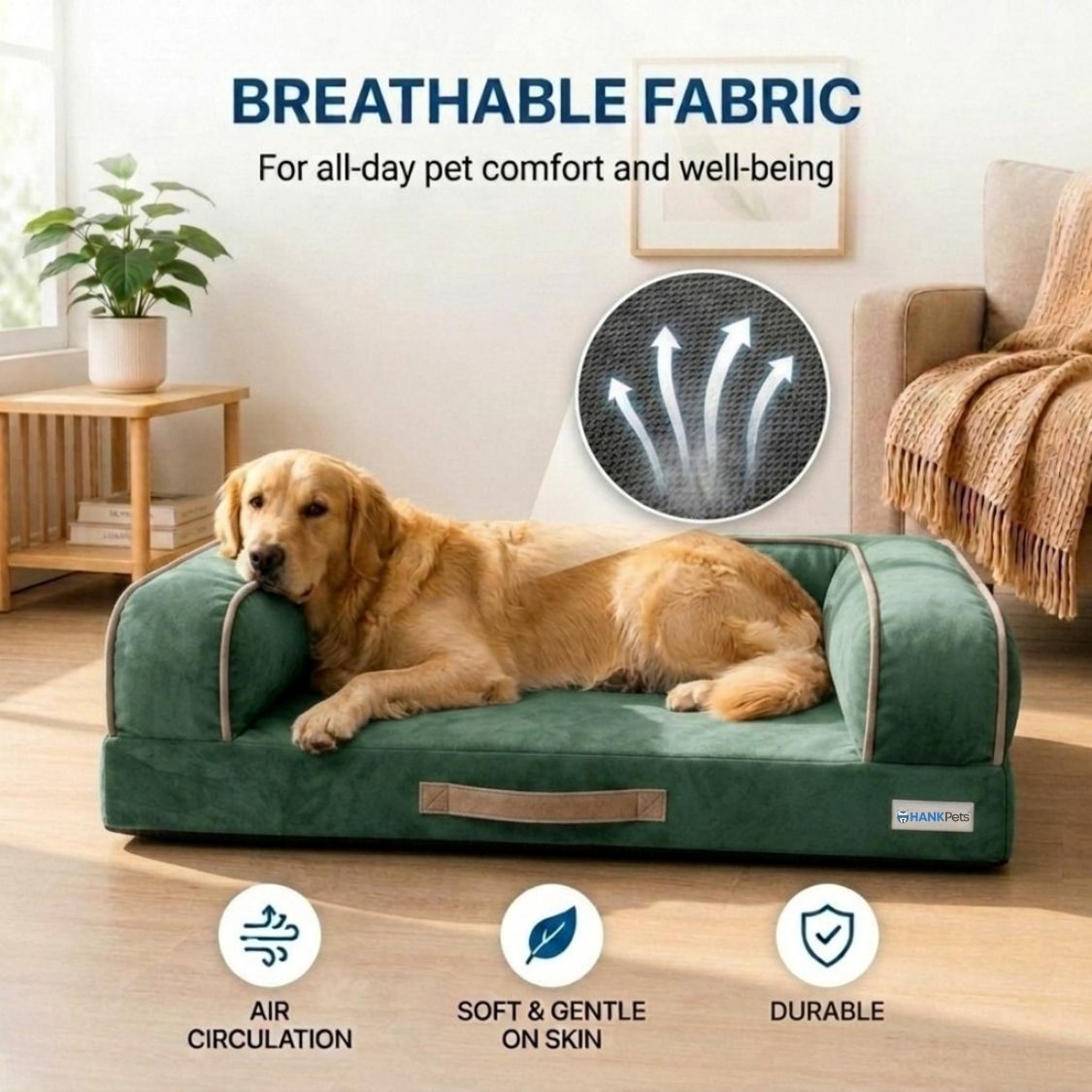 HANK CozyHaven Premium Sofa Dog Bed | Anti Skid & Machine Washable(Green)