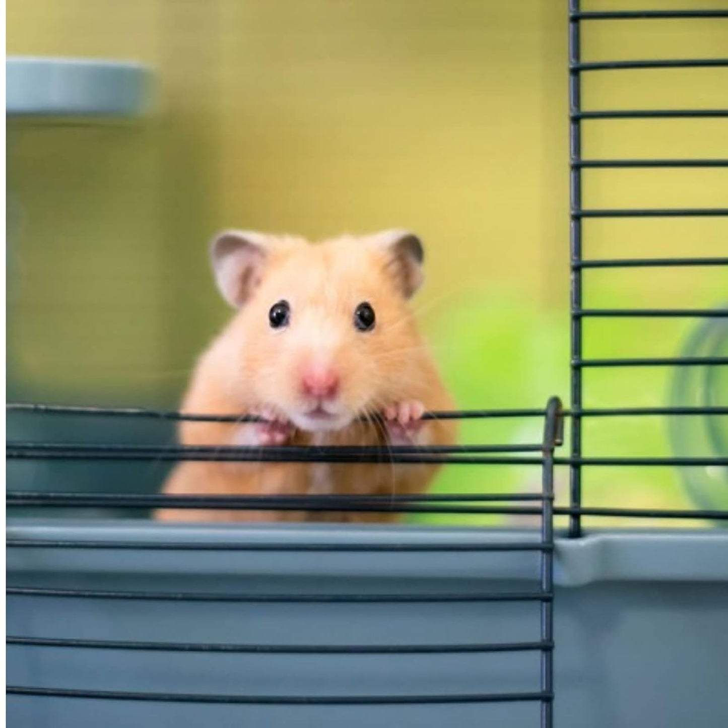 Martha Hamster & Guinea Pig Cage | Fun Activity Home for Small Pets