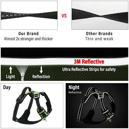 Hank Neon Green Harness For Dog