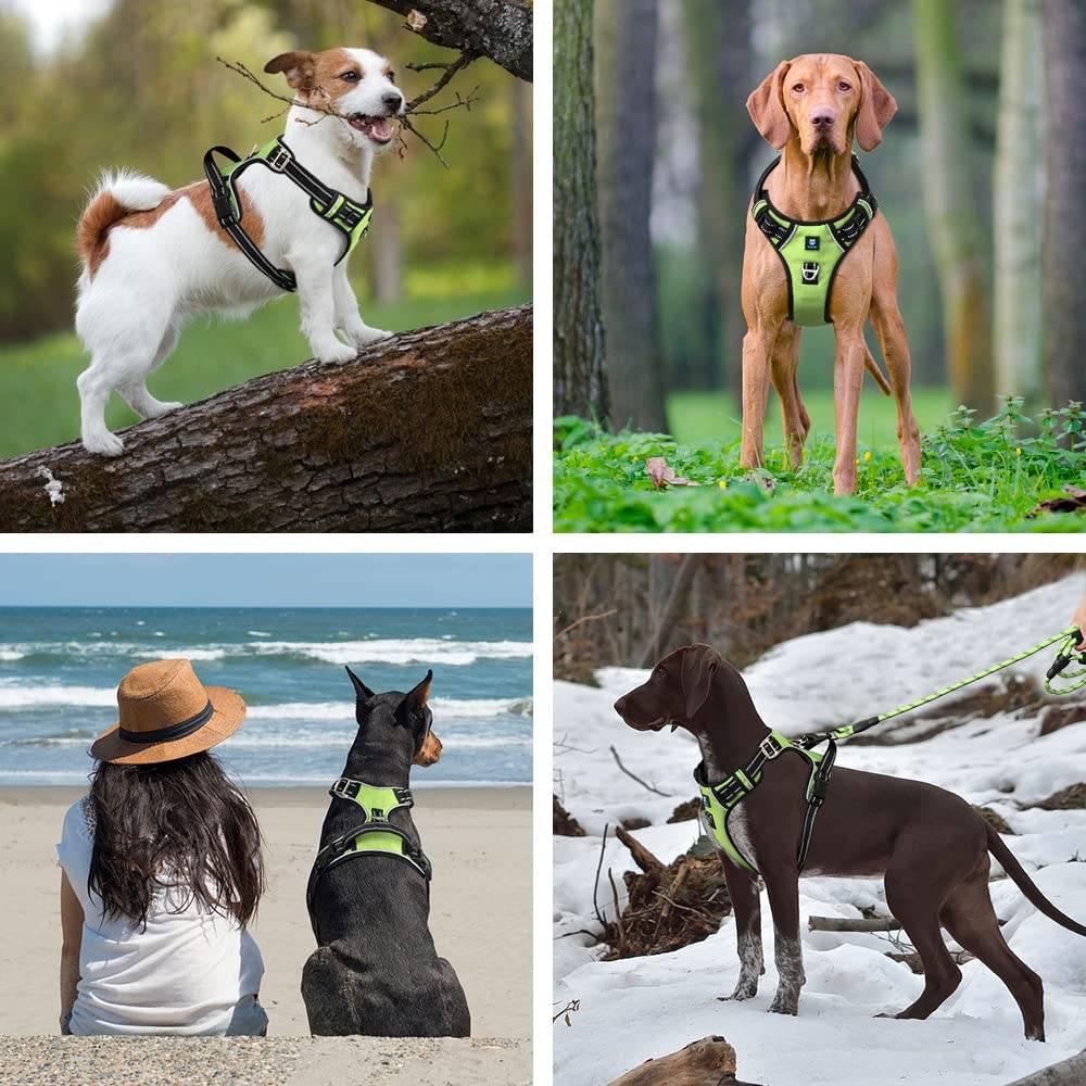 Hank Neon Green Harness For Dog
