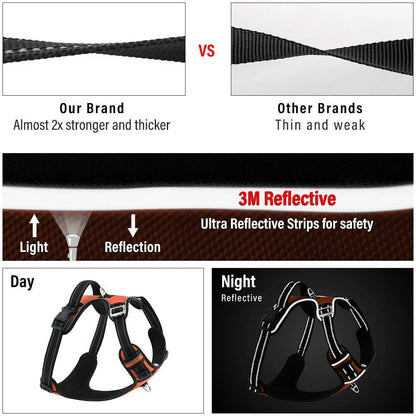 Hank Neon Orange Harness For Dog