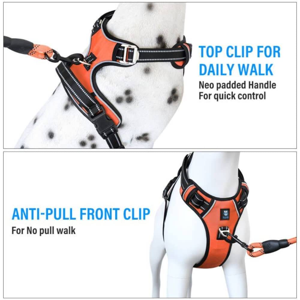 Hank Neon Orange Harness For Dog