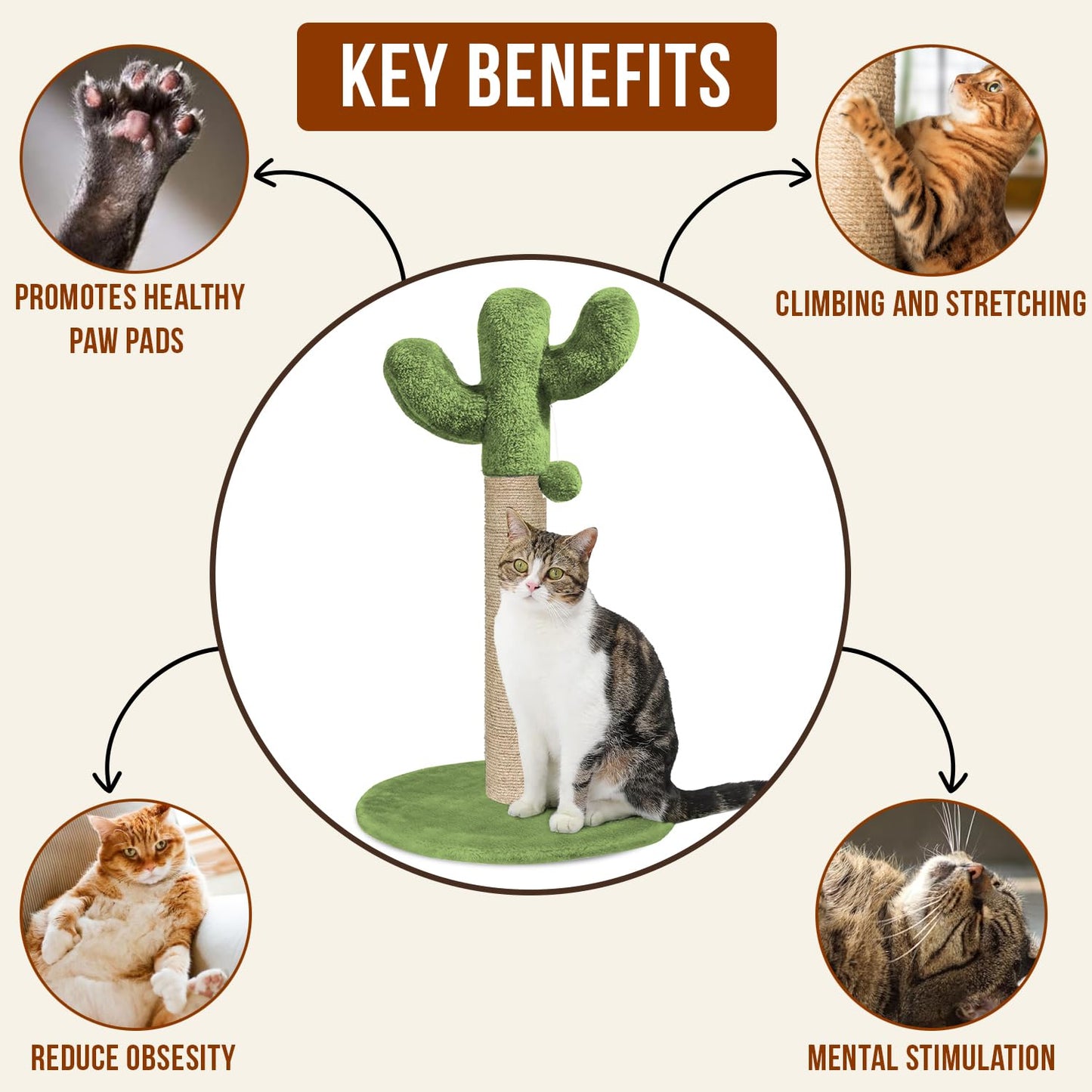 Cactus Cat Scratching Post Tower (20x16 in)