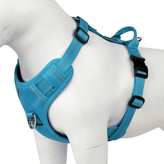 Hank Cyan Blue  Grey Quick-Fit Dog Harness.