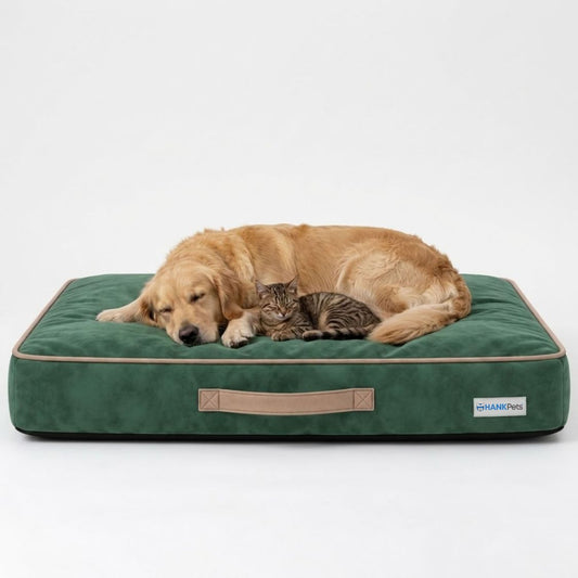 HANK CloudRest Premium Mattress Dog Bed | Anti Skid & Machine Washable (Green)