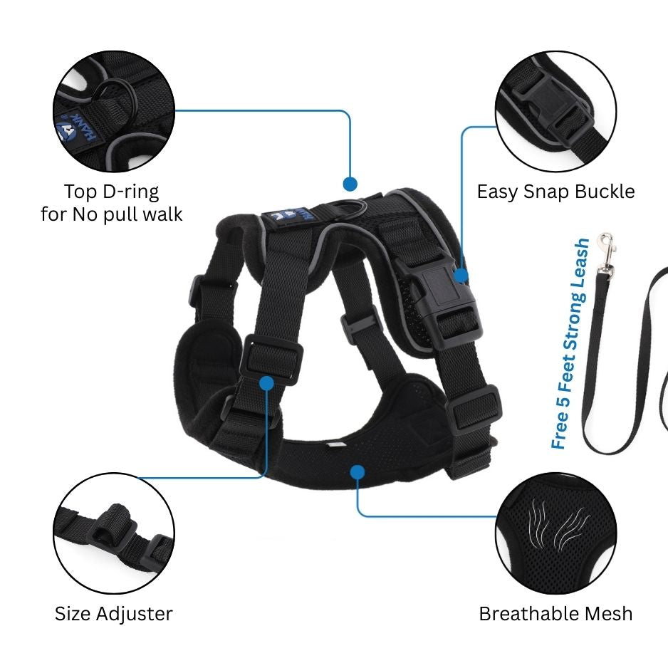 HANK Reflective Cat & Small Dog Harness With Leash For Daily Walks (Black)