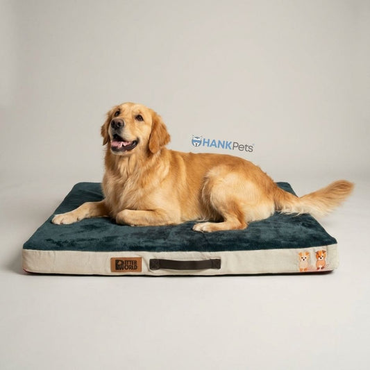 Orthopedic Pet Bed Memory Foam | Soft & Washable Pet Bed