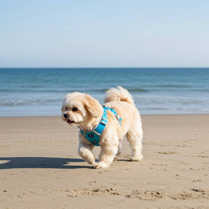 HANK No Pull 3M Reflective Dog Harness | Sky Blue