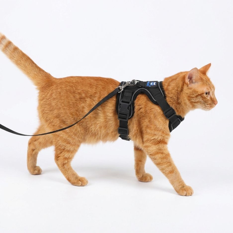 HANK Reflective Cat & Small Dog Harness With Leash For Daily Walks (Black)