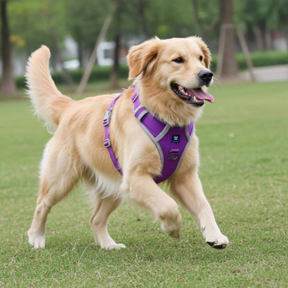 HANK No Pull 3M Reflective Dog Harness | Purple