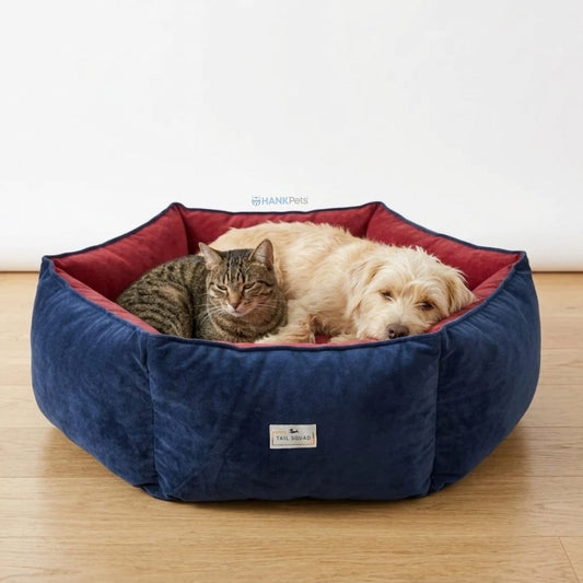 Reversible Summer Pet Bed For Cats & Small Dogs | Soft & Washable