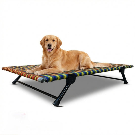 Folding Elevated Cat & Dog Bed | All Seasons Comfort with Breathable Nylon Mesh I Anti-Skid & Waterproof