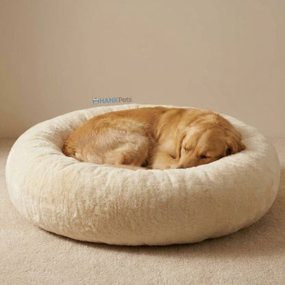Paw Cloud Pet Bed | Ultra Soft Cloud Dog & Cat Bed | Anti Skid