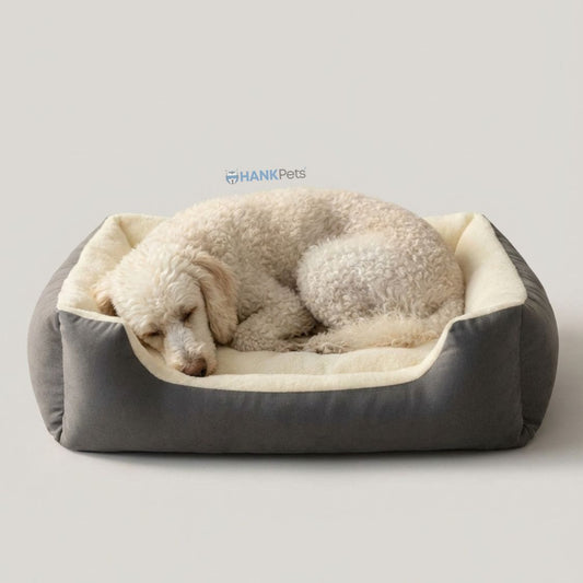 Paws Nook Pet Bed Super Soft, Cozy & Washable Dog & Cat Bed