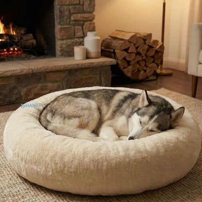 Paw Cloud Pet Bed | Ultra Soft Cloud Dog & Cat Bed | Anti Skid