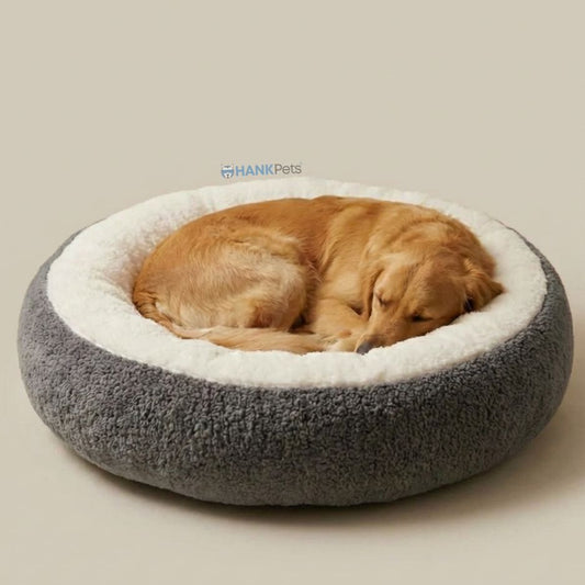 Pawas Paradise Pet Bed | Ultra Soft Cozy Bed for Dogs & Cats | Anti Skid