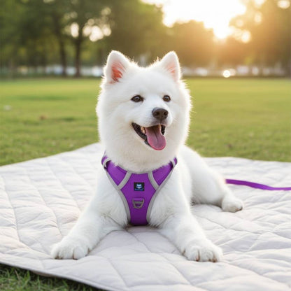 HANK No Pull 3M Reflective Dog Harness | Purple