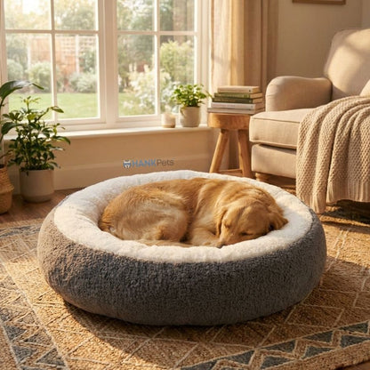 Pawas Paradise Pet Bed | Ultra Soft Cozy Bed for Dogs & Cats | Anti Skid