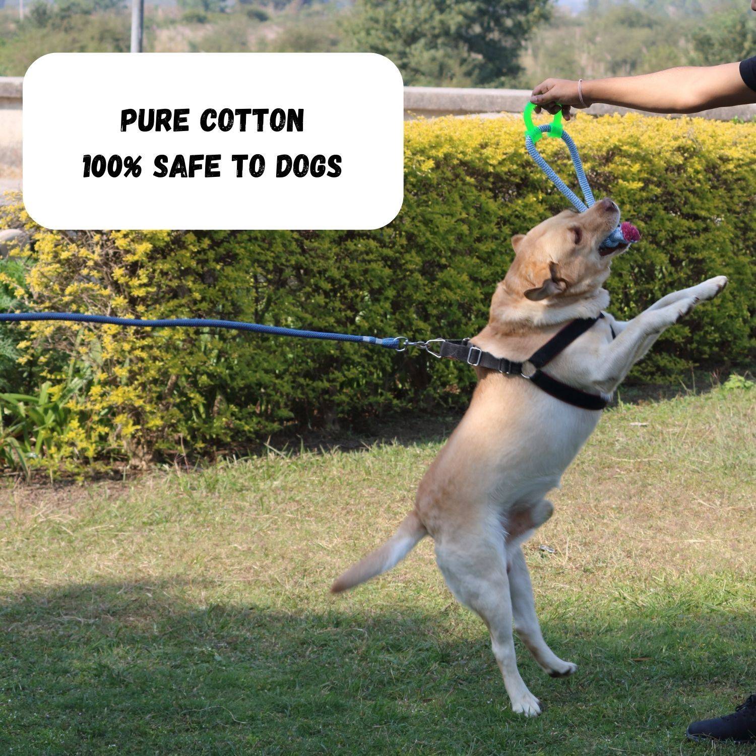 Dog Chew Toys